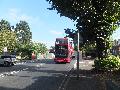 Buses On Diversion Bickley 1 310816