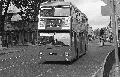 16,BW50,25,DMS2577,16,VICTORIA,VICTORIA BUCKINGHAM PALACE RD SW1,01081978