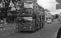 16A,BW50,22,DMS2599,16A,VICTORIA,VICTORIA BUCKINGHAM PALACE RD SW1,01081978