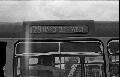 128,BW43,10,,128,HAREFIELD WEST,SIDE BLIND,24061978