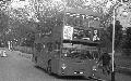 137A,BW29,10,DMS0577,137A,Sloane Square and Battersea Pleasure Gardens,Battersea Park,260378