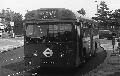 244,BW40,26,SMS240,244,SOUTHGATE STATION,SOUTHGATE,21051978