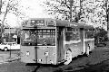 429,BW08,15,MBS416,CRAWLEY,429,BEWBUSH,111976