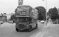65,BW43,40,RM1431,65,CHESSINGTON ZOO,SURBITON STN,01061978