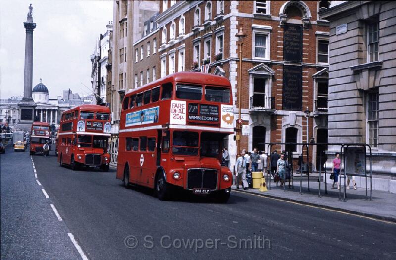 77A,S39,55,RM1202,77A,WIMBLEDON PLOUGH LANE,WHITEHALL,28Jul81.jpg